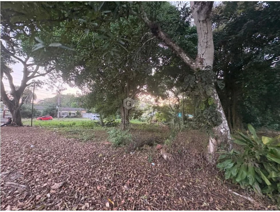 Building Lot for sale in El Espino