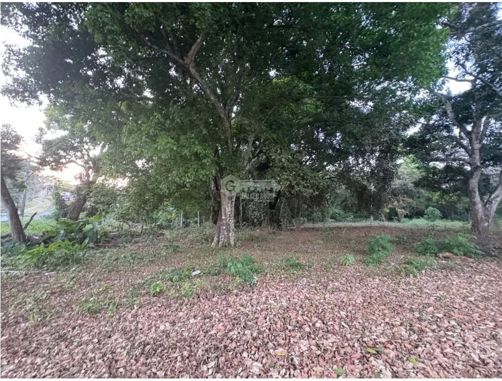 Building Lot for sale in El Espino