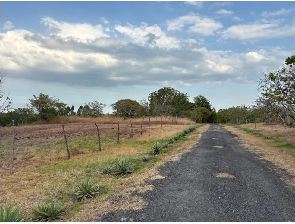 Building Lot for sale in San Carlos