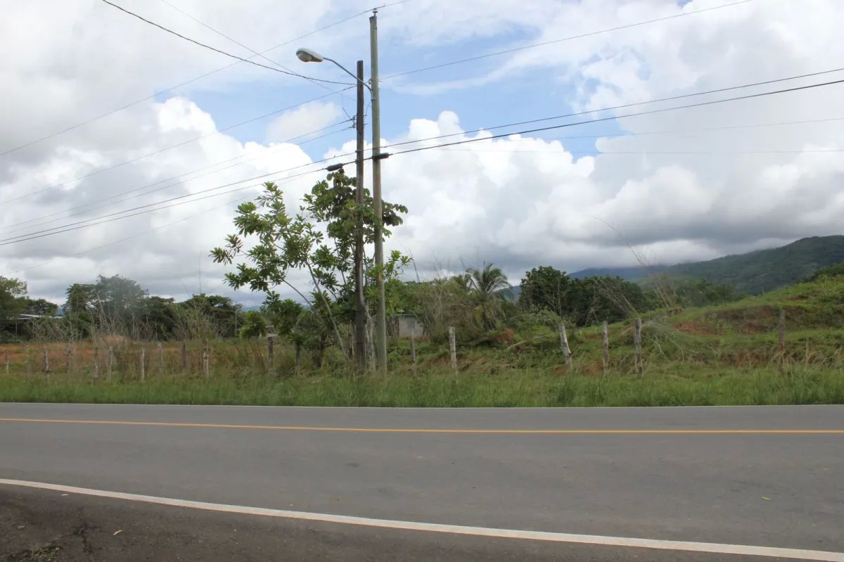 Agriculture For Sale in Utivé