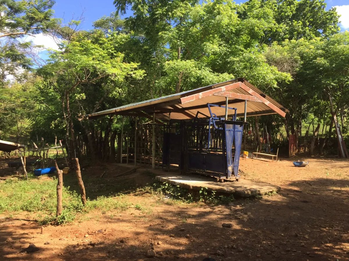 Venta de Finca en Cative, Veraguas