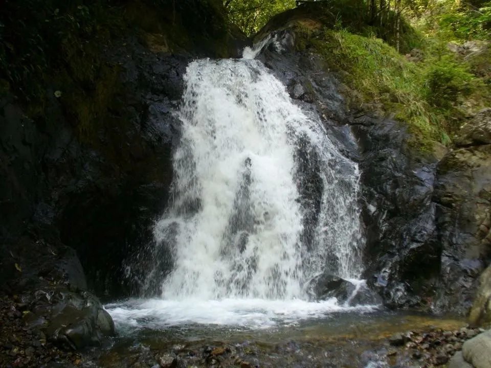 Venta de Finca en Cative, Veraguas