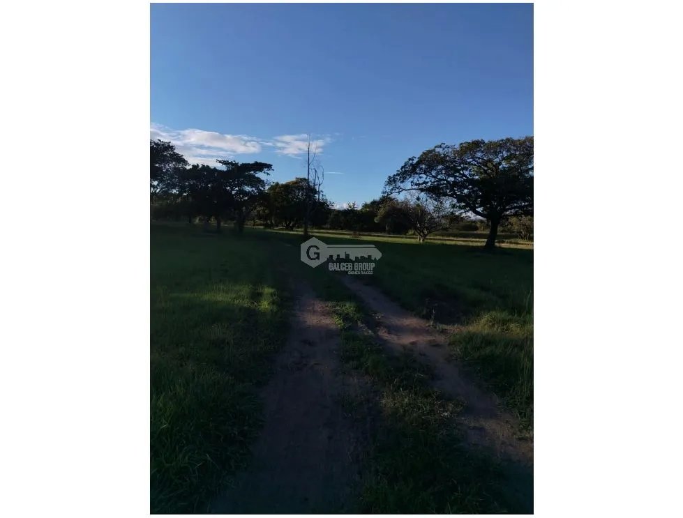 Land/Farm for sale in Coronado