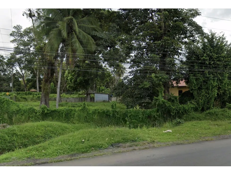 TERRENO / BOCAS DEL TORO / CHANGUINOLA / 2442M / AVENIDA PRINCIPAL