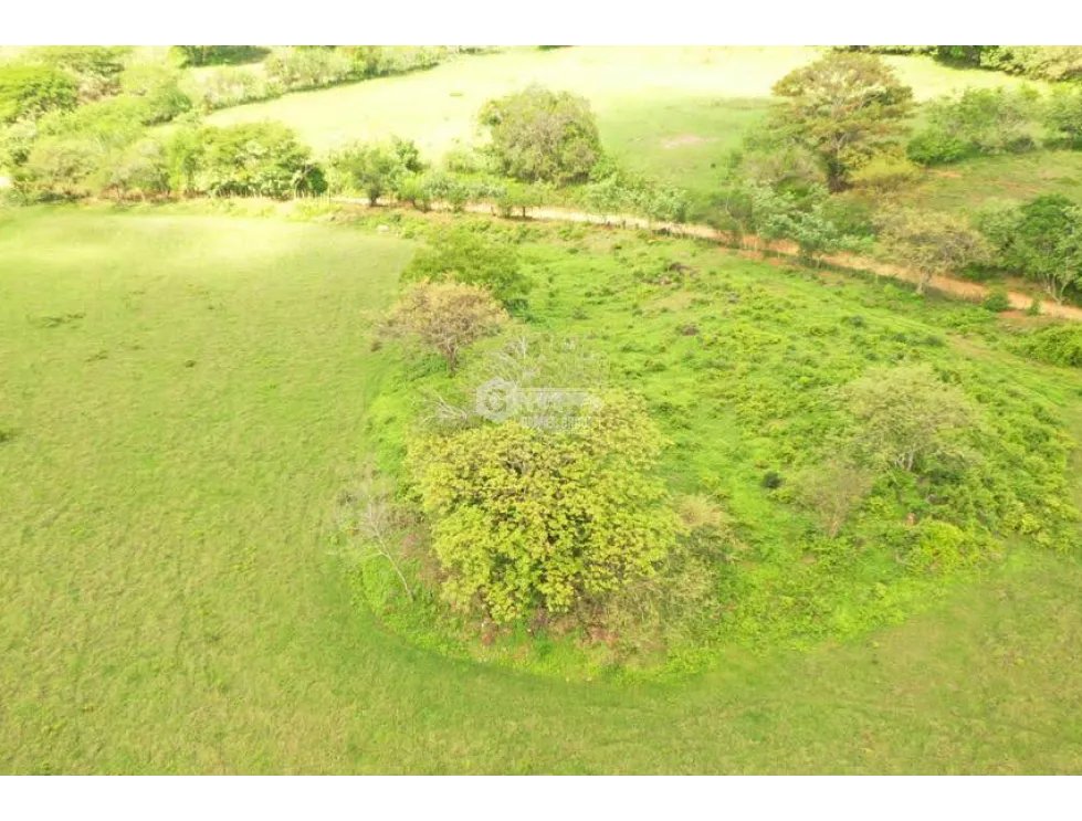 Land/Farm for sale in Herrera
