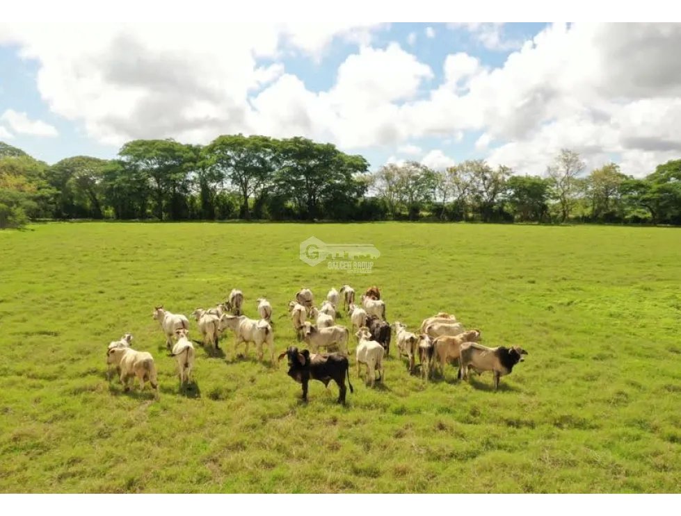 SE VENDE TERRENO TITULADO DE 13 HECTÁREA EN PARITA DE HERRERA