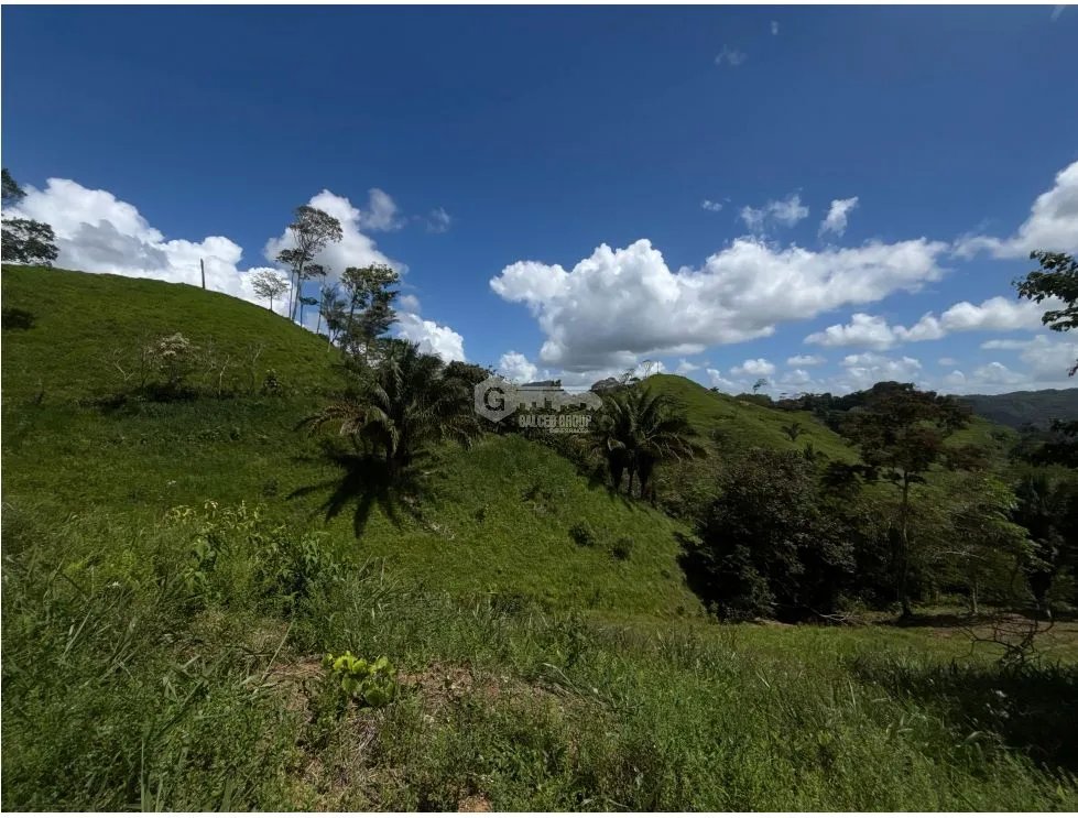 SE VENDE FINCA EN CAPIRA EL CACAO IDEAL PARA GANADERIA Y AGRICULTURA