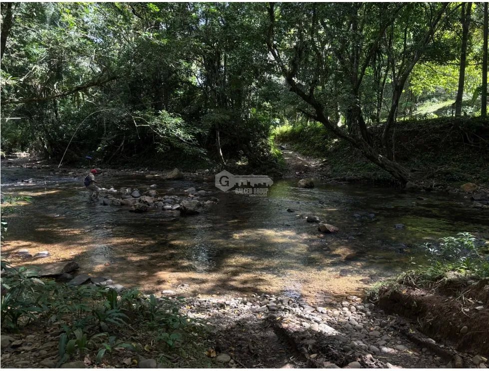 SE VENDE FINCA EN CAPIRA EL CACAO IDEAL PARA GANADERIA Y AGRICULTURA