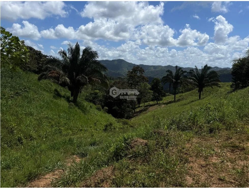 SE VENDE TERRENO DE 70 HECTÁREA EL CACAO CAPIRA IDEAL PARA GANADERIA