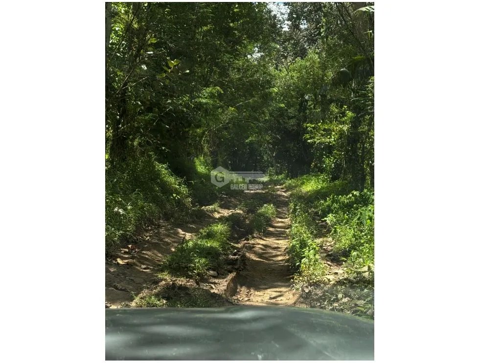 SE VENDE TERRENO DE 70 HECTÁREA EL CACAO CAPIRA IDEAL PARA GANADERIA