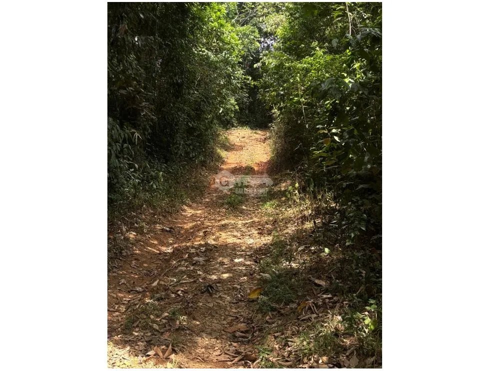 SE VENDE TERRENO DE 70 HECTÁREA EL CACAO CAPIRA IDEAL PARA GANADERIA