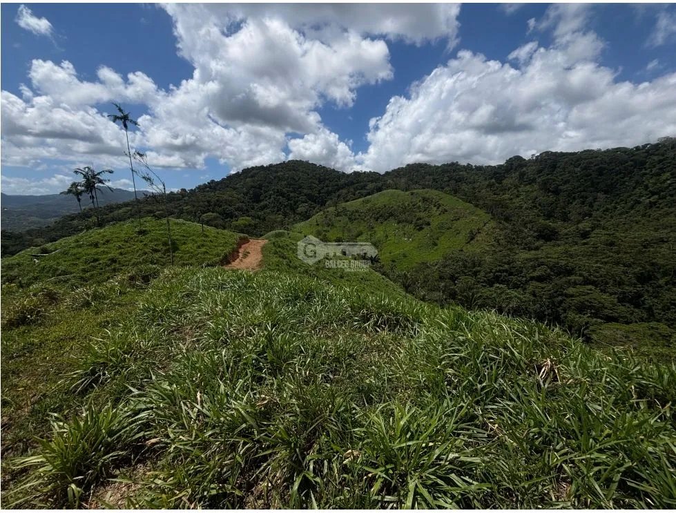 Building Lot for sale in Capira