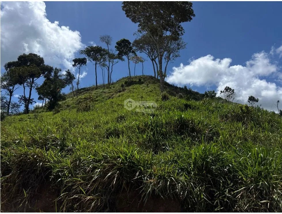 Building Lot for sale in Capira