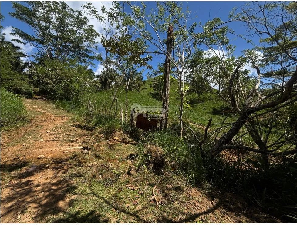 Building Lot for sale in Capira