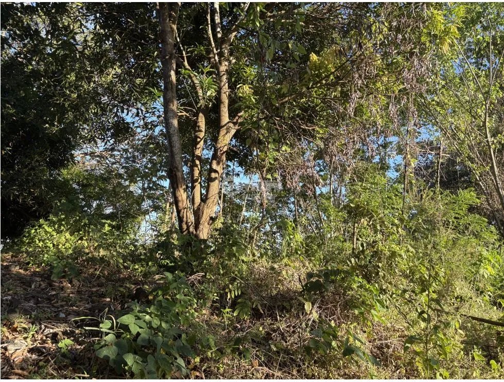 Building Lot for sale in Chame