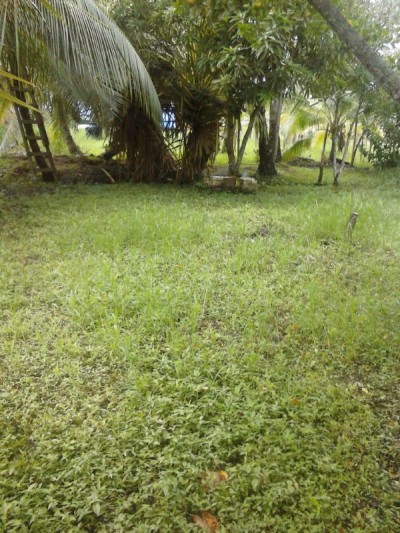 15050 - Isla Colón - lotes