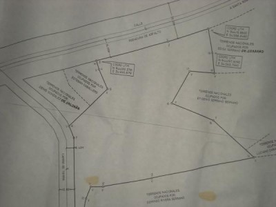 15146 - Dolega - lots