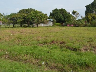 15607 - Chame - lotes