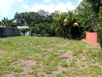 16465 - Coronado - lots