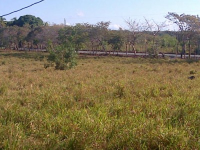 16490 - El valle de anton - lotes