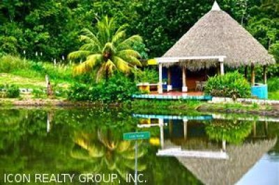 1694 - La Chorrera - casas - brisas de los lagos