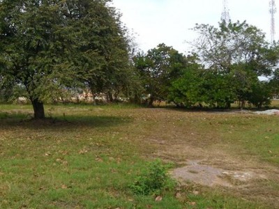 17895 - Coronado - lotes