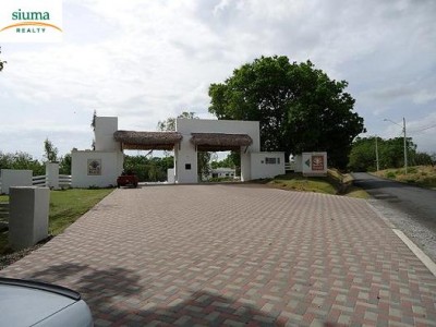 18117 - Coronado - lotes