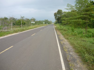 19112 - Pinogana - propiedades