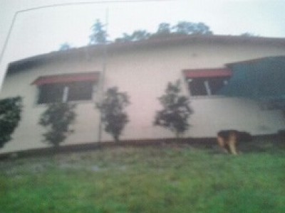 19115 - Barú - properties