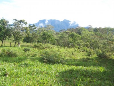 19245 - Potrerillos - lotes