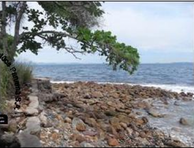 19355 - Taboga - lotes