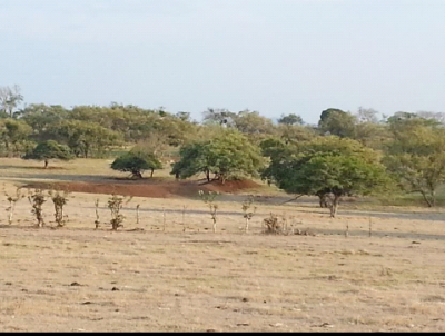 19567 - Las Tablas - fincas