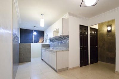 20197 - Ciudad de Panamá - apartamentos - royal palm