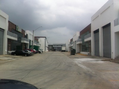 21923 - 24 de diciembre - locales