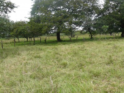 22105 - San Lorenzo - fincas