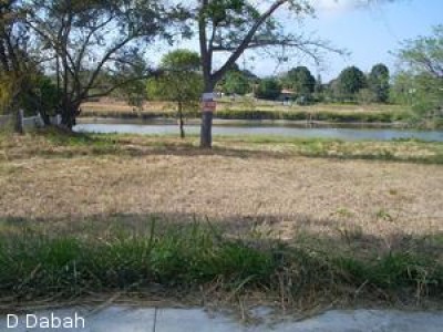 2239 - Coronado - lots