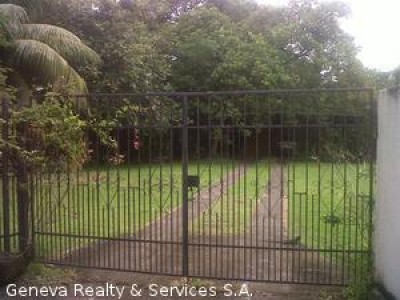 2253 - Coco del mar - lotes