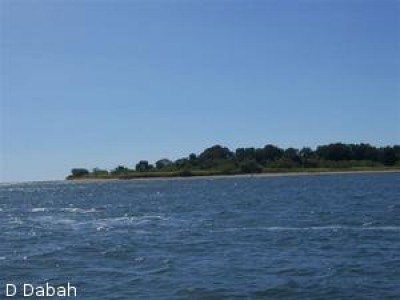 2325 - San Lorenzo - farms