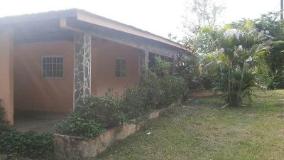 23317 - Penonomé - casas