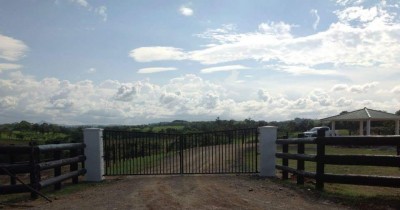 23926 - La Chorrera - fincas