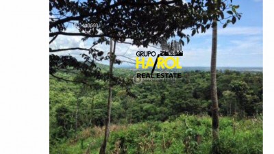 24269 - Las mañanitas - lots