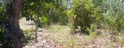 25745 - Punta chame - lotes