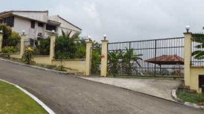 26839 - Hato pintado - lotes