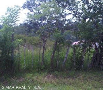 2716 - Brisas del golf - lotes