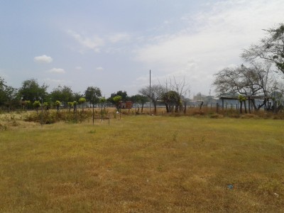 28457 - Las Tablas - lotes