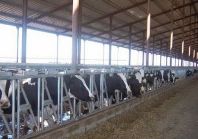 28650 - Ciudad de Panamá - farms