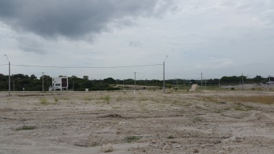 28838 - Taboga - lotes