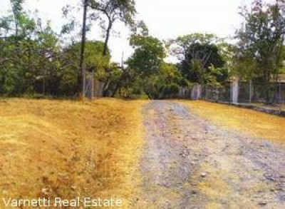 2923 - Coronado - lotes