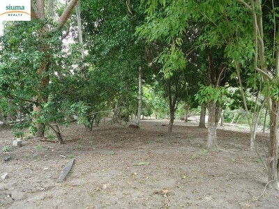 30152 - San carlos - lots
