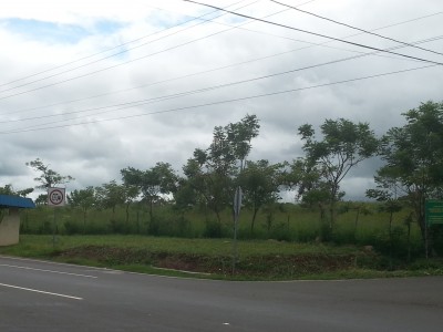 31010 - Dolega - lots